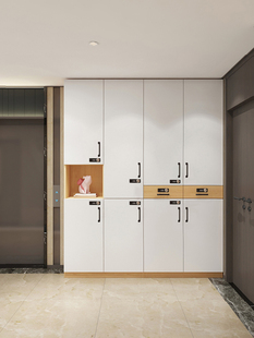 鞋柜家用门口楼道外带密码锁鞋柜小户型室外过道电梯口走廊用定制