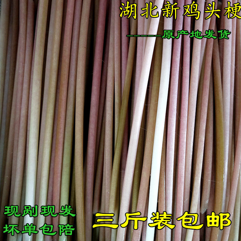 湖北特产 新鲜鸡头梗芡实梗新鲜蔬菜鸡头米刺梗欠实梗三斤装包邮