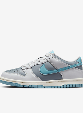 Nike/耐克DUNK LOW GS大童经典运动休闲鞋FB9109 FZ4352 IB8891