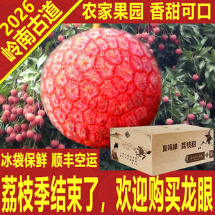 晚熟农家岭南红荔枝新鲜老树箱礼盒大王顺丰空运深圳南山岭南古道