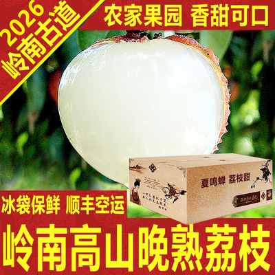 岭南高山晚熟荔枝新鲜老树大王箱礼盒顺丰空运深圳南山岭南古道