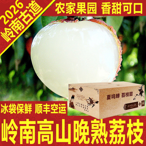 岭南高山晚熟荔枝新鲜老树大王箱礼盒顺丰空运深圳南山岭南古道