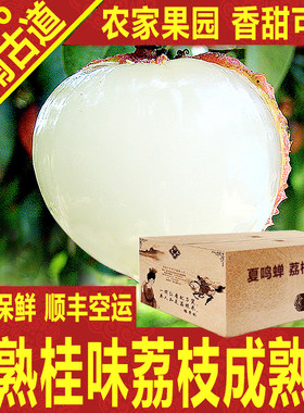 岭南晚熟桂味荔枝新鲜老树大王箱礼盒顺丰空运深圳南山岭南古道