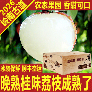 岭南晚熟桂味荔枝新鲜老树大王箱礼盒顺丰空运深圳南山岭南古道