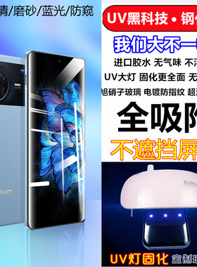 适用VIVO X200 X100 X90 X80 X70 X60 X50 Y100 Y300 Y78钢化膜iQOO12 11 10 9 8 Pro磨砂UV紫光固化防窥膜+