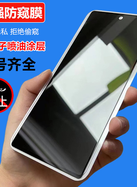 适用荣耀500 300 90 200 400 Smart 50 SE 80 GT X60 X10 X70i X30钢化膜X9D 9X X7畅玩30plus二强防窥膜X8B