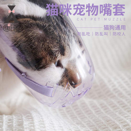 闷热防咬头套镂空透明猫嘴套洗澡袋打针防咬猫咪透气不头罩3只装