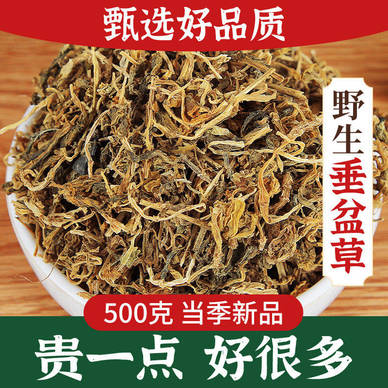 野生垂盆草中药材正品500g食用垂盆草干垂盆草茶锤盆草