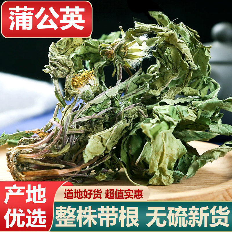 野生蒲公英全草500g整株带根有花婆婆丁谷谷丁蒲公英茶可磨粉包邮
