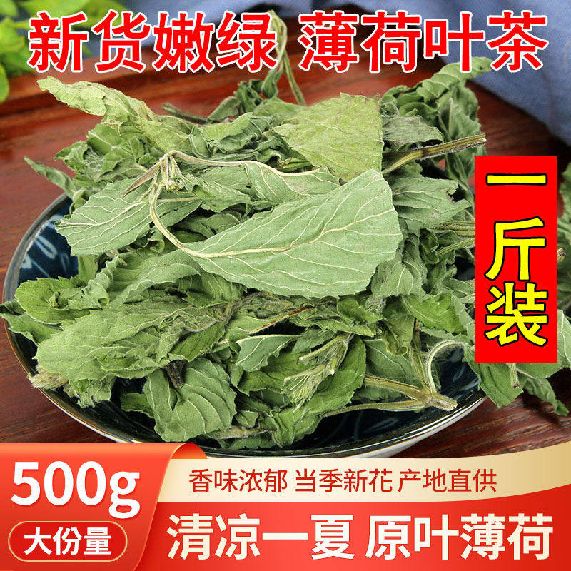 薄荷叶 薄荷 蕃荷叶 人丹草 升阳草 卜荷 中草药中药材500克包邮