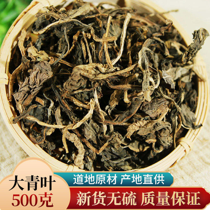 中药材 新货大青叶 精选大青叶 无硫精选板蓝根叶 500克 包邮