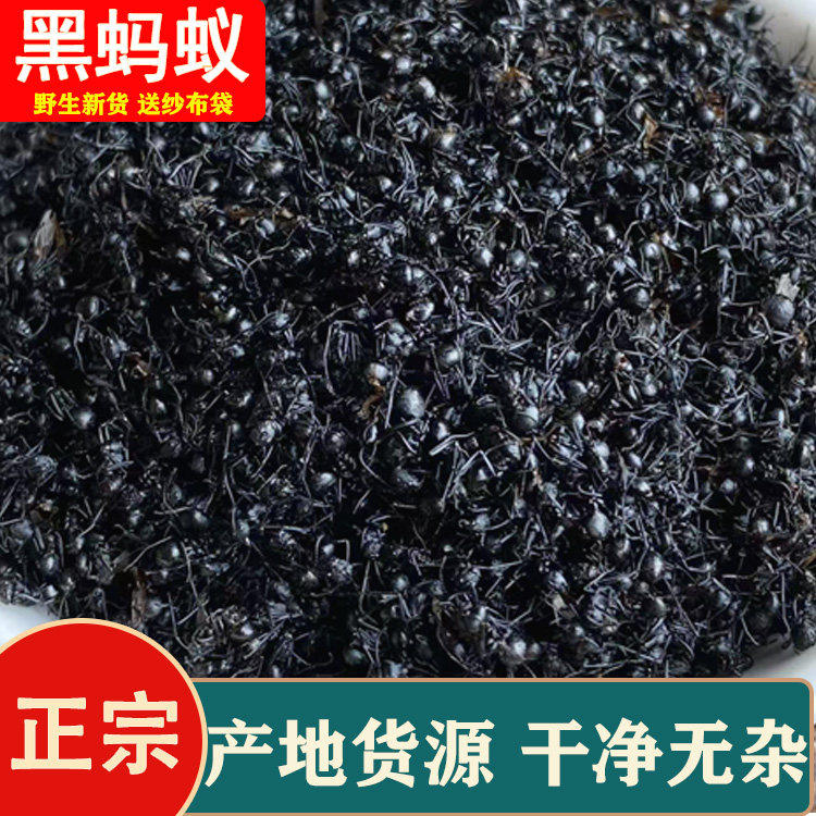 黑蚂蚁中药材野生500g正品横县黑蚂蚁泡酒拟黑多刺蚁食用黑蚂蚁干