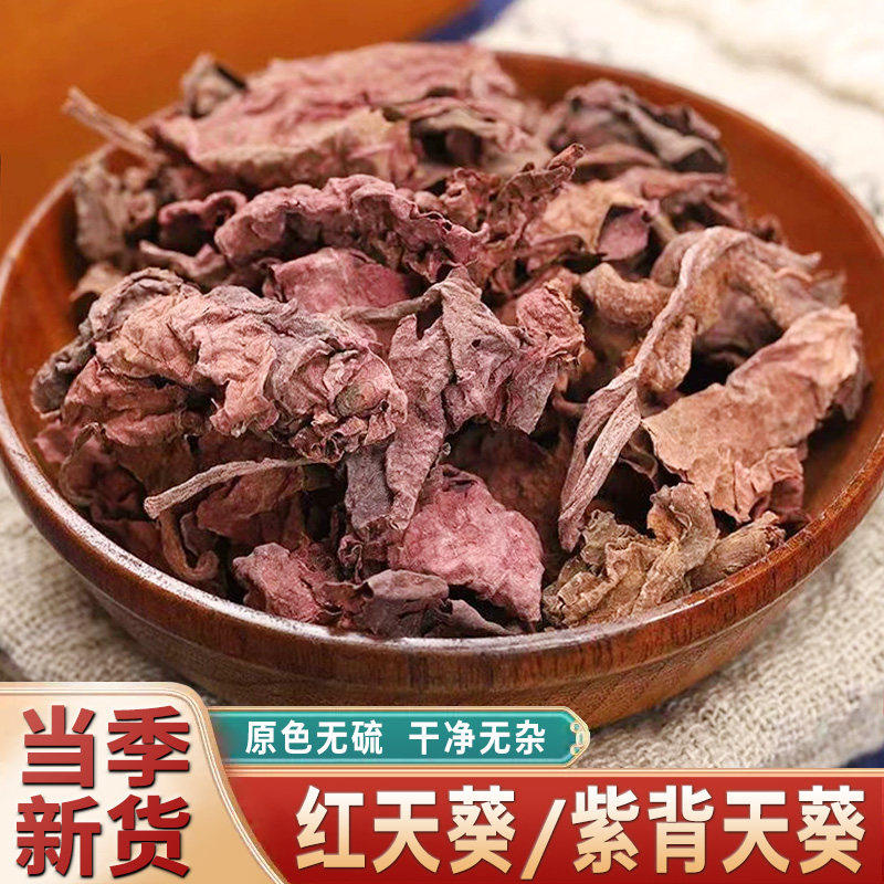 红天葵野生紫背红天葵草500g中药材紫背天葵一点红紫背青天葵红叶