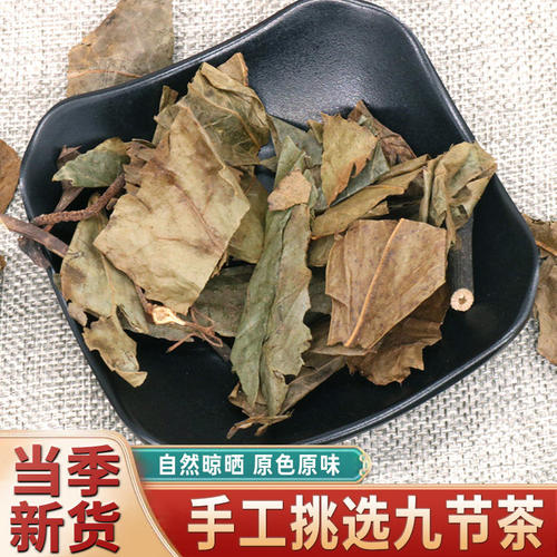 九节茶正品野生肿节风500g克中药材肿节风草珊瑚全草九节风中草药