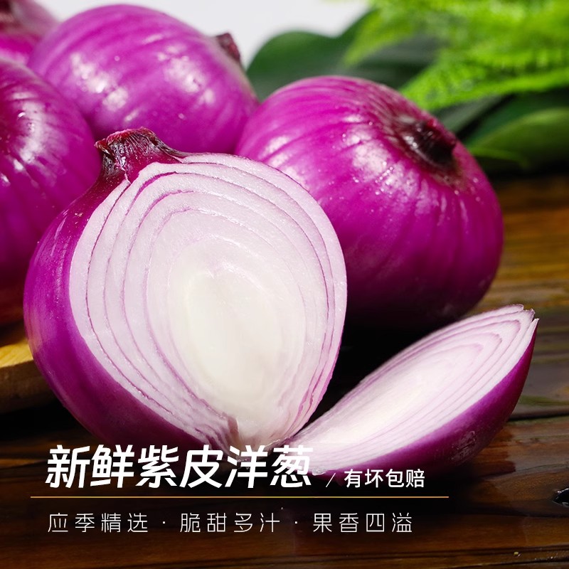 水果洋葱甜味生吃新鲜紫皮洋葱洋葱头小圆葱毛葱红洋葱大洋葱