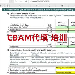 【代填培训咨询】欧盟碳关税（CBAM）碳排放数据填报指导文件中英