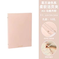 A5 Live Page Shell-Malaysia Dan Fan Morandi Color System