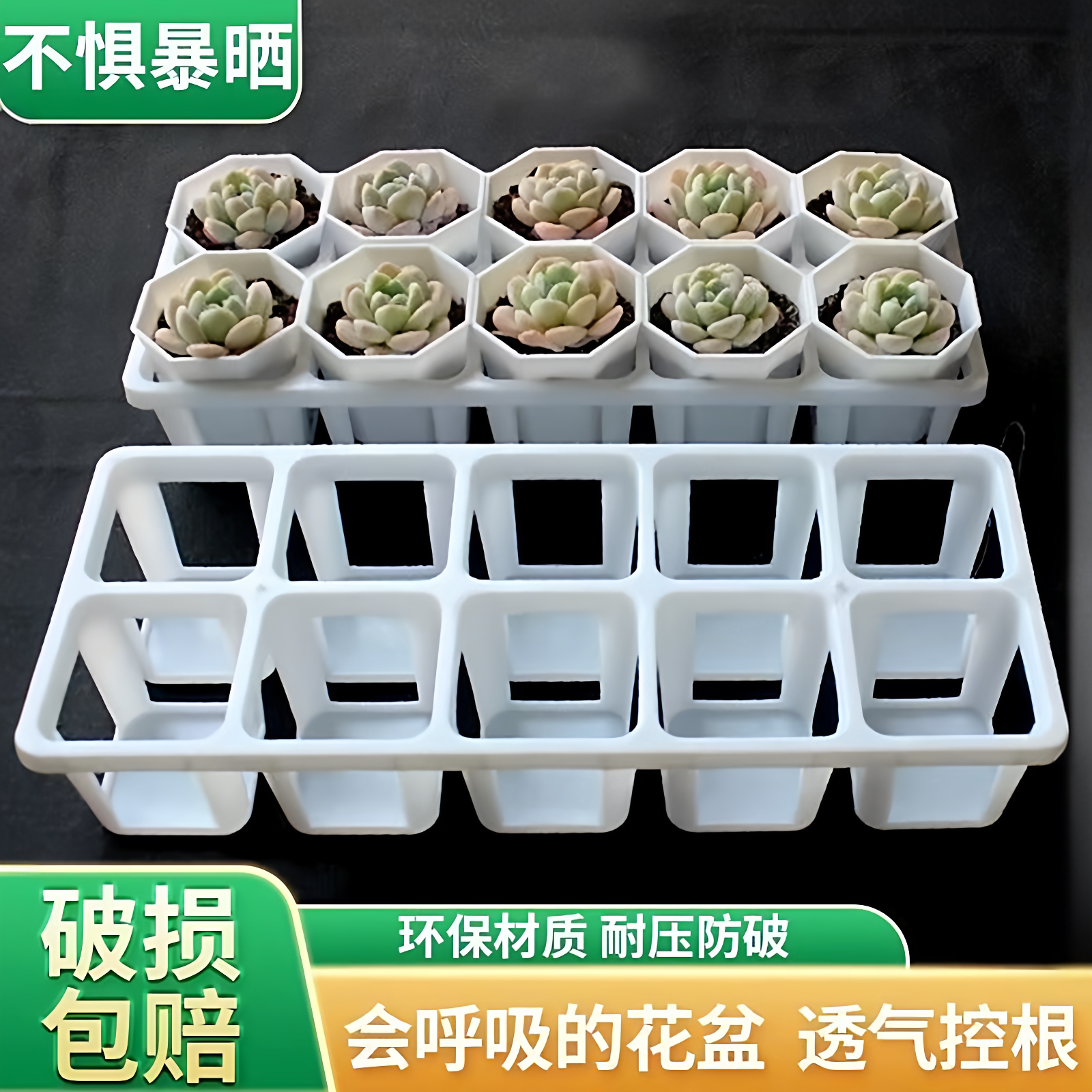 新款多肉组合托盘白色10孔花盆
