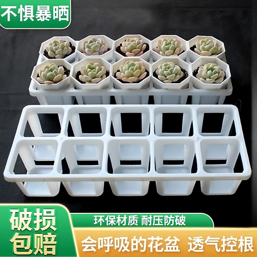 新款多肉组合托盘白色10孔花盆