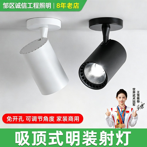 20w服装店商用展厅可旋转cob射灯