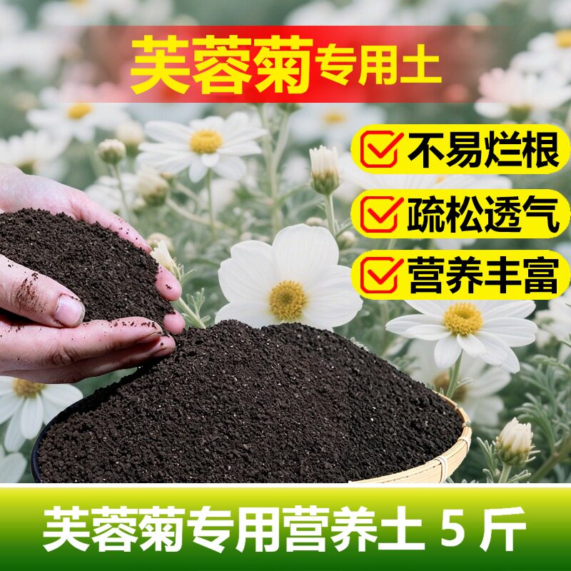 芙蓉菊专用土料菊花盆栽小苗盆景土培花肥营养土种植肥氮磷钾家用
