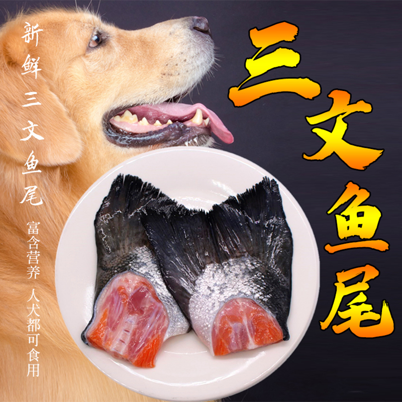 3斤三文鱼尾巴带皮分割包邮冰鲜宠物三文鱼边角料鱼油丰富挪威