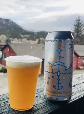 Burlington伯灵顿啤酒无形潮汐三倍浑浊IPA美国进口精酿473ml包邮