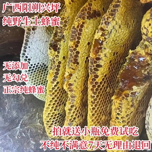 广西阳朔野生土蜂蜜 纯天然百花蜜 桂林深山石缝九龙藤兴坪乌藤糖