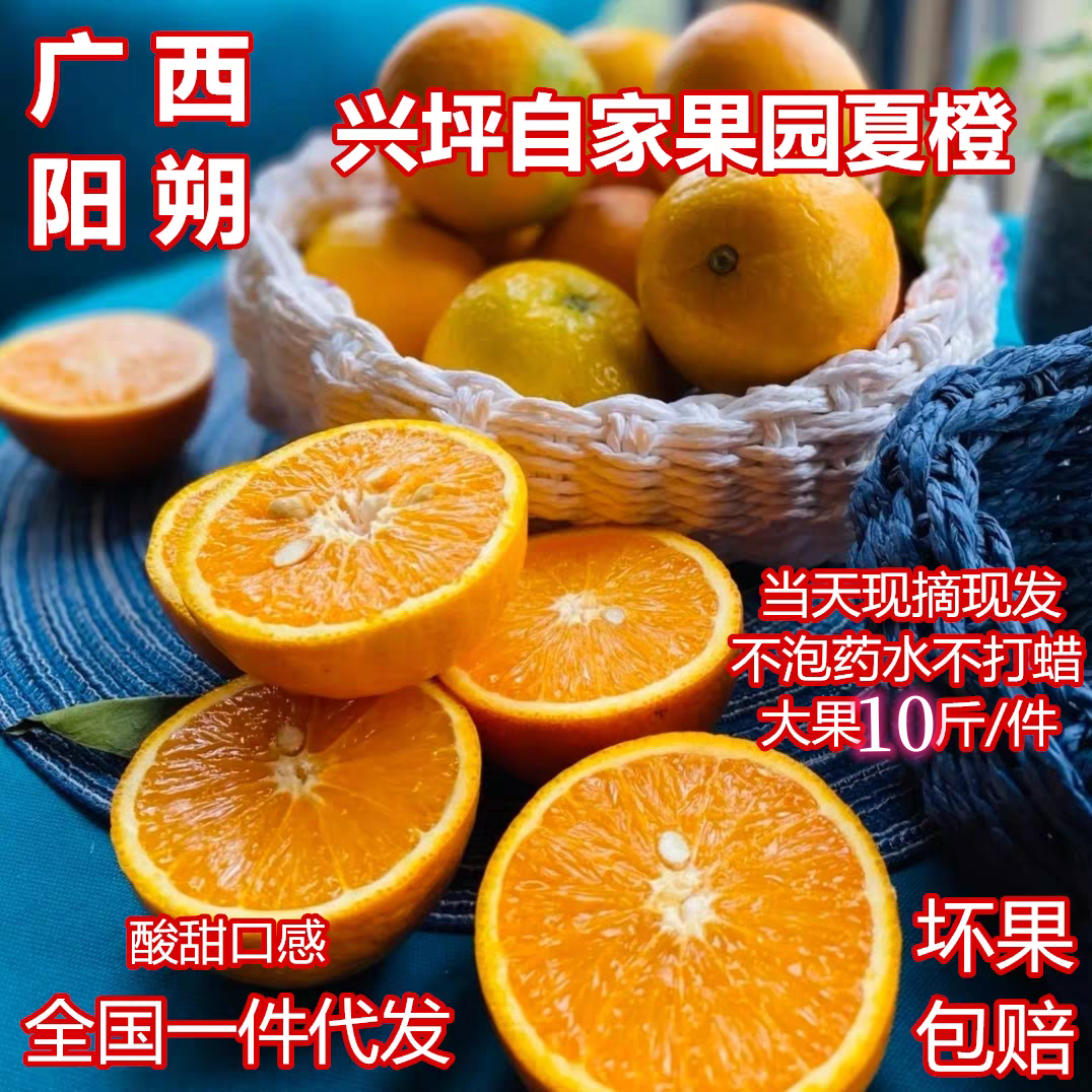 广西阳朔夏橙大果10斤新鲜现摘橙子酸甜多汁桂林兴坪应季水果榨汁
