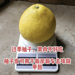 过季柚子11斤 柚子皮厚可用于新房新车去味除甲醛 广西阳朔沙田柚
