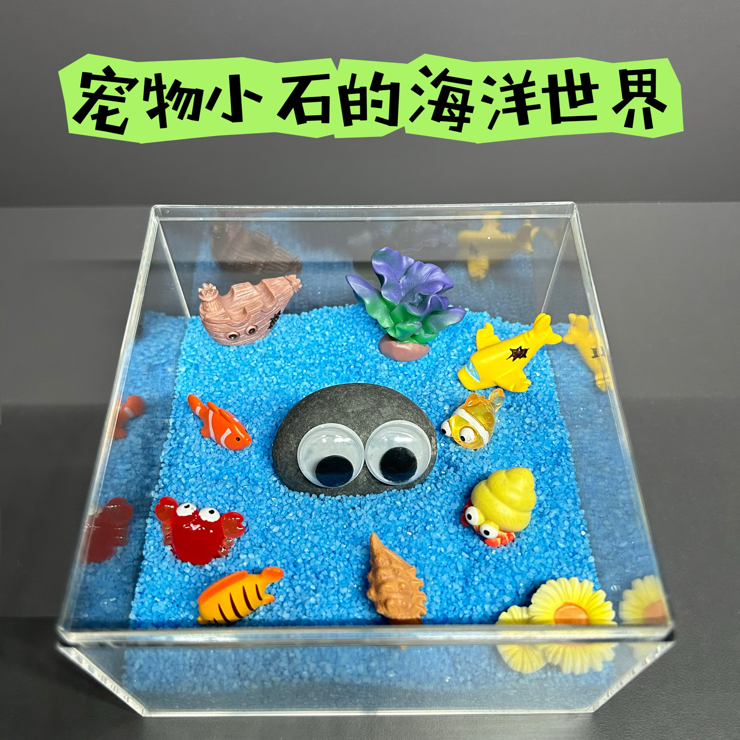 网红石头宠物迷你Diy石头海洋生物石头宠物石头礼物桌面摆件材料