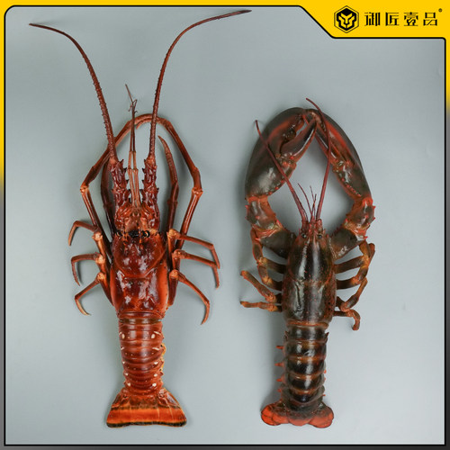御匠壹品仿真古巴龙虾模型