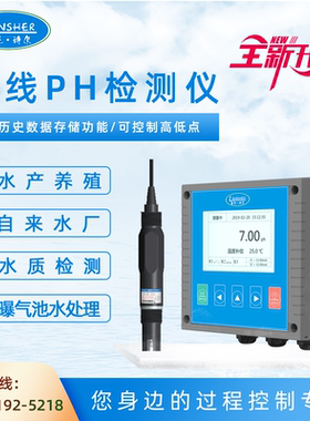 工业在线PH仪表成套PH计PH检测仪酸度计在线ORP耐酸碱聚四氟电极