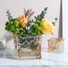 轻奢高级感玻璃矮脚花瓶宽口器皿高端奢华花盆客厅茶几插花摆件