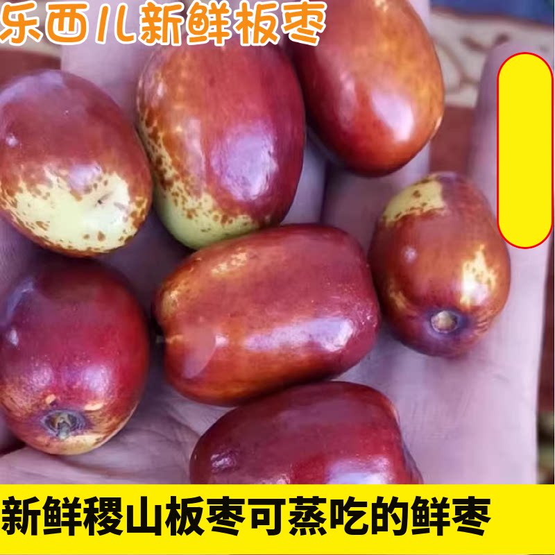 新鲜正宗稷山板枣新鲜板枣