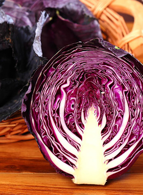 新鲜蔬菜 新鲜紫甘蓝 紫圆白菜 紫色红椰菜 紫包菜 约650g