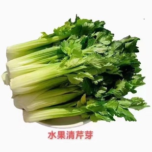 500g 芹菜心 新鲜蔬菜云南高原生吃水果青芹芽特色食材