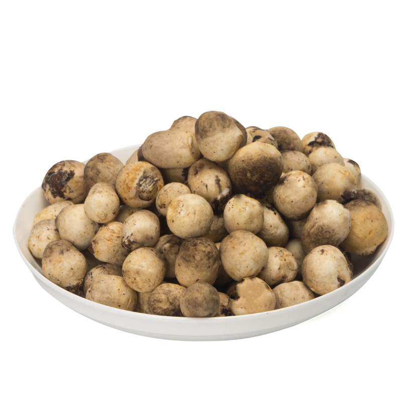 新鲜菌菇 新鲜草菇 兰花菇 500g 鲜草菇 江浙沪皖6件顺丰包邮