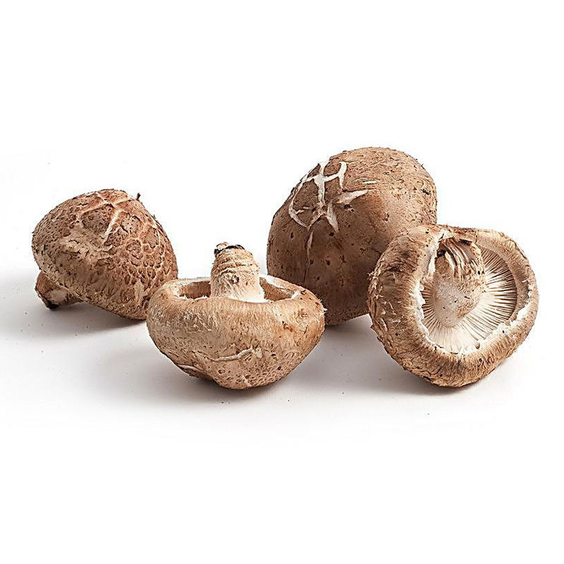 新鲜香菇500g 新鲜菌类时鲜菌类江浙沪皖任选6件顺丰包邮