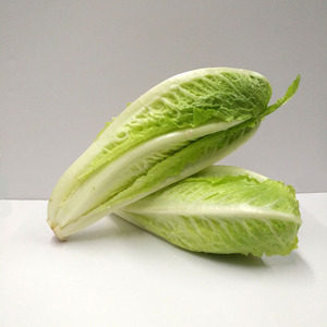 新鲜包心罗马嫩罗马罗纹生菜凯撒包罗马沙拉蔬菜500克