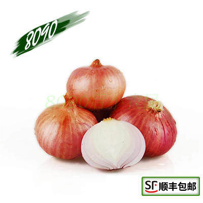 8090 新鲜小红葱头 小洋葱 圆葱头 珍珠洋葱香料 500克