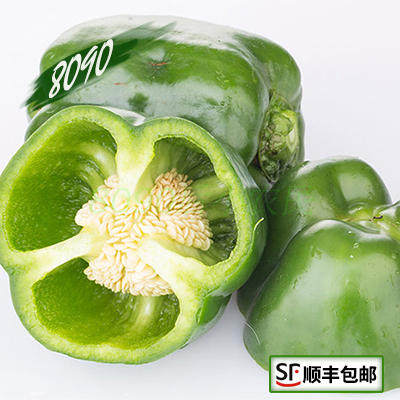 8090 青彩椒 食用青圆椒 新鲜蔬菜 500克 满额顺丰包邮