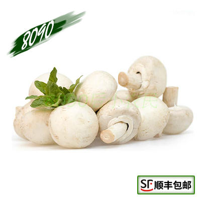 8090 新鲜蔬菜 野生口蘑 白蘑菇 口蘑蔬菜500克浙江沪6件顺丰包邮