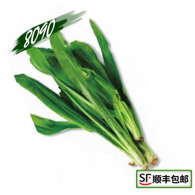 新鲜泰国香菜 芫茜 香菜 刺欧芹 泰国大香菜 冬阴功250g