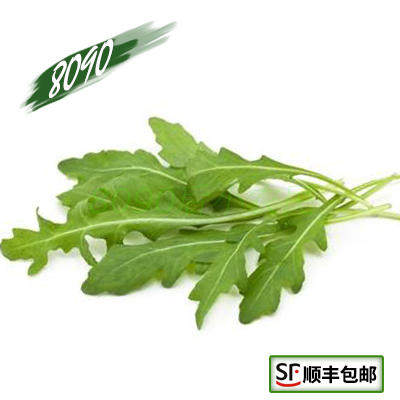 新鲜蔬菜 新鲜芝麻菜 芝麻叶火箭菜 新鲜蔬菜沙拉250克