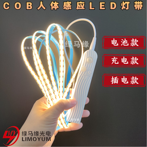 绿马缘电池感应COB灯条充电感应