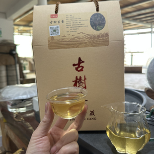 2025年春茶-古树春茶-生普散茶【礼盒装】-麻栗坡老山古树茶