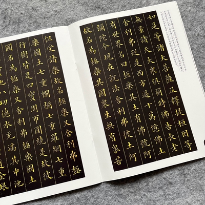 林文忠公真书无量寿经墨宝册