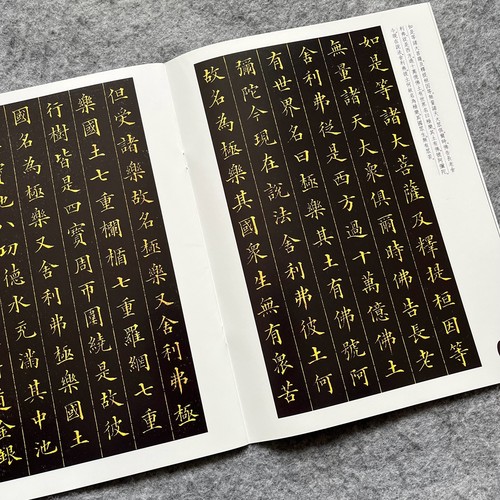 林文忠公真书无量寿经墨宝册