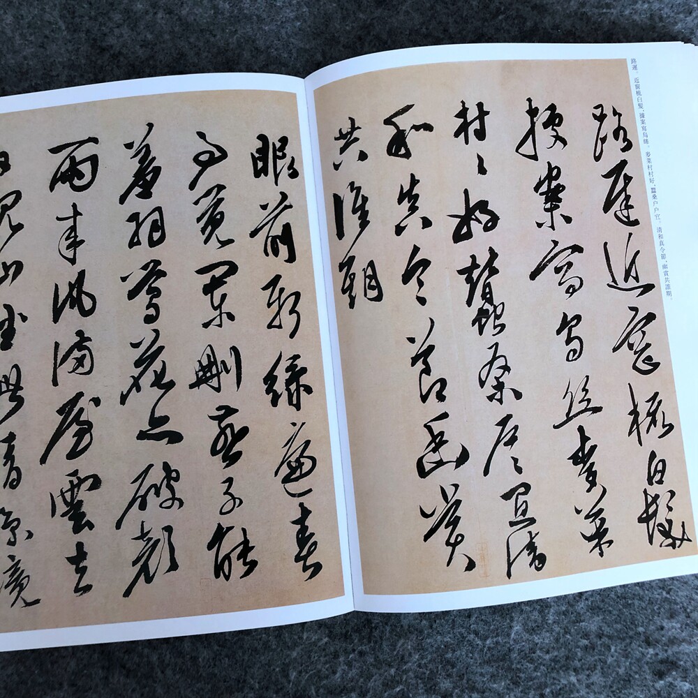 陈道复古诗十九首卷自书诗卷花卉六段锦岳阳楼记行草书毛笔字帖